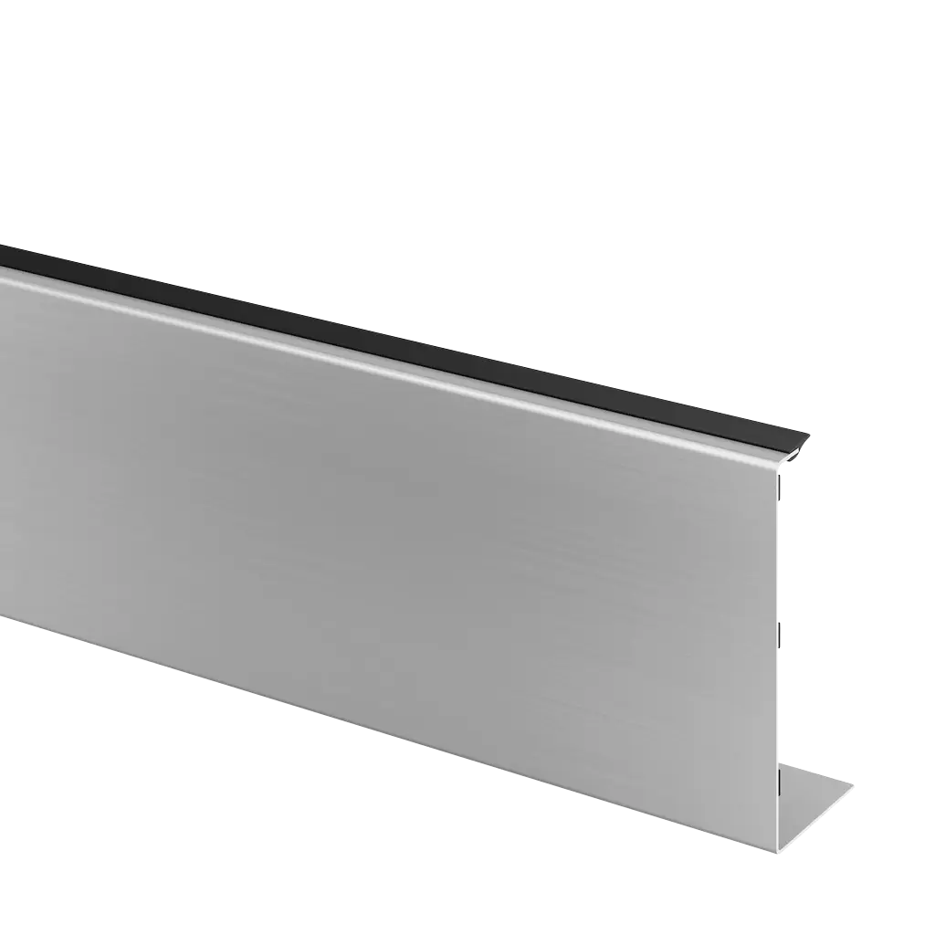 Habillage, EG Max "Y", montage latéral; 168545-050-18; extérieur, L=5000 mm, aluminium brossé, anodisé (16692052018)